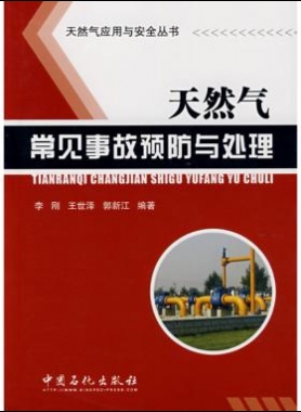 天然氣應(yīng)用與安全叢書 天然氣常見(jiàn)事故預(yù)防與處理