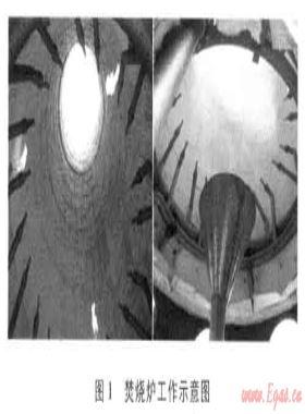 國產SGI-10型高含硫天然氣焚燒爐在普光D401-1井試氣中的應用