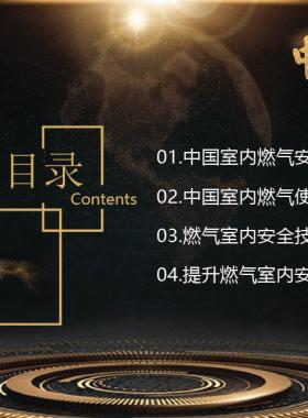 中國室內(nèi)燃氣安全與技術(shù)措施綜述-趙自軍
