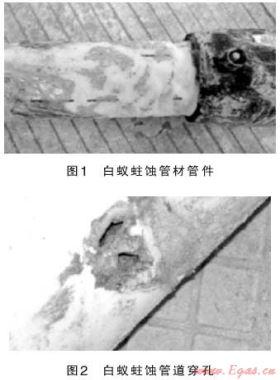 關于佛山市南海區(qū)燃氣管道安全問題的探討