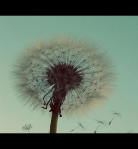 《無(wú)線遠(yuǎn)傳膜式燃?xì)獗怼烦墙?T503-2016全文