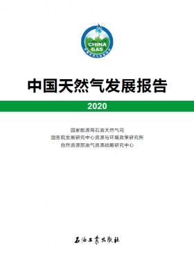 2020中國天然氣發(fā)展報(bào)告（含2017、2018、2019、2020）