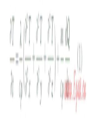 LNG儲罐外罐施工期間的溫度應力及裂縫分布