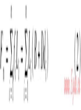 基于Q學習蟻群算法的熱網(wǎng)優(yōu)化方法